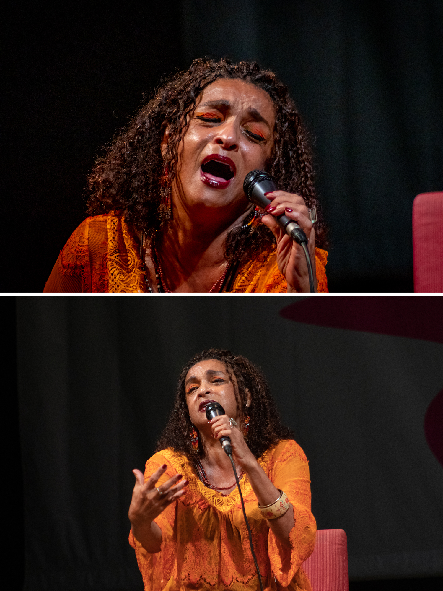 Elisa Lucinda