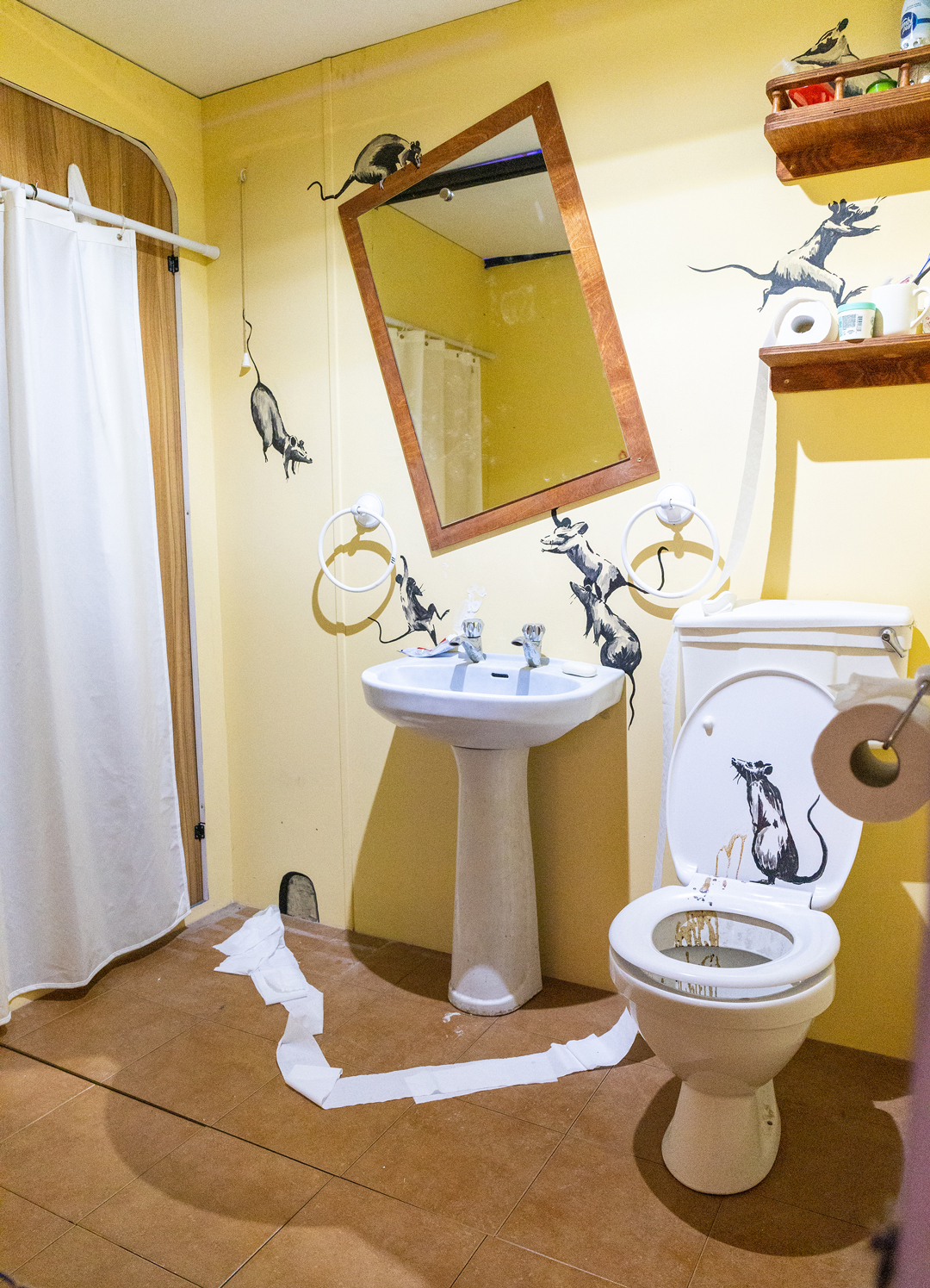 The Art of Banksy: Without Limits