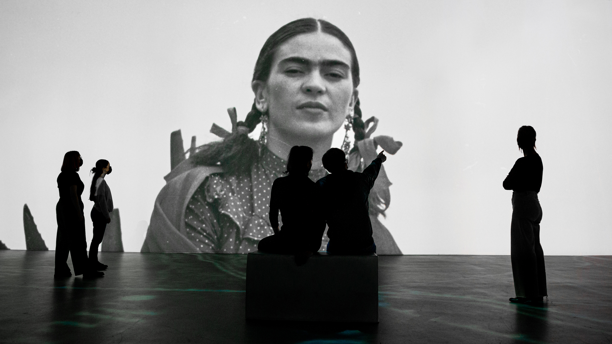 Frida Kahlo &ndash; A vida de um &Iacute;cone