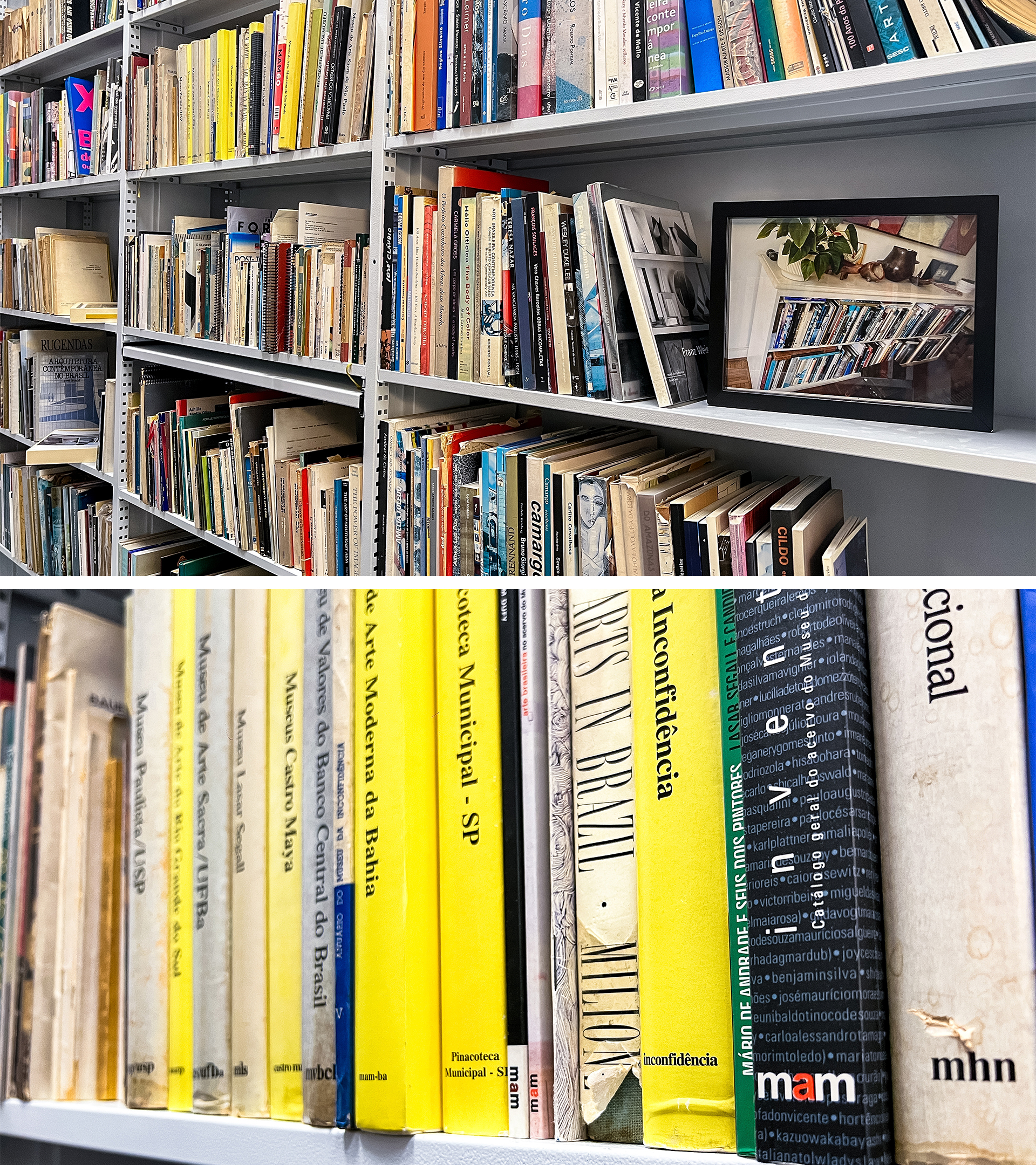 Prateleiras na Biblioteca do MAM com a cole&ccedil;&atilde;o de livros doada por Aracy Amaral