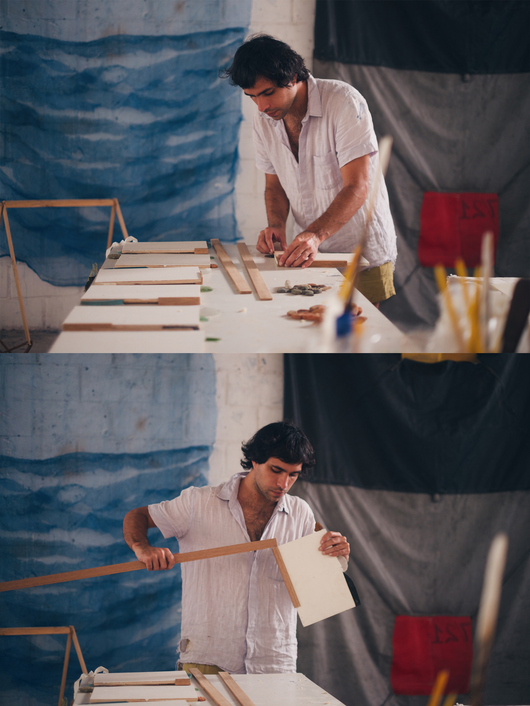 artista Z&eacute; Tepedino