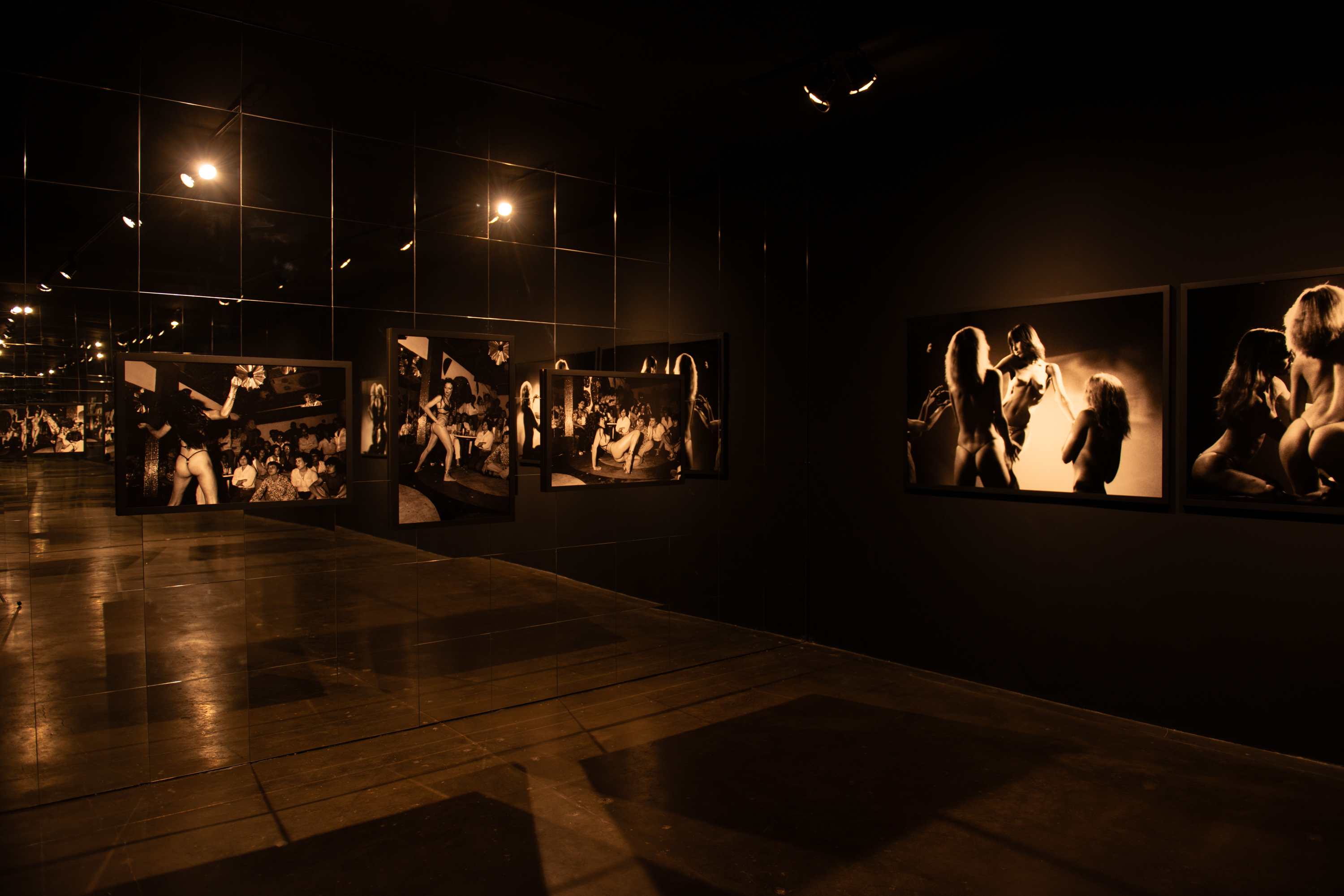 Exposi&ccedil;&atilde;o, Rosa Gauditano.