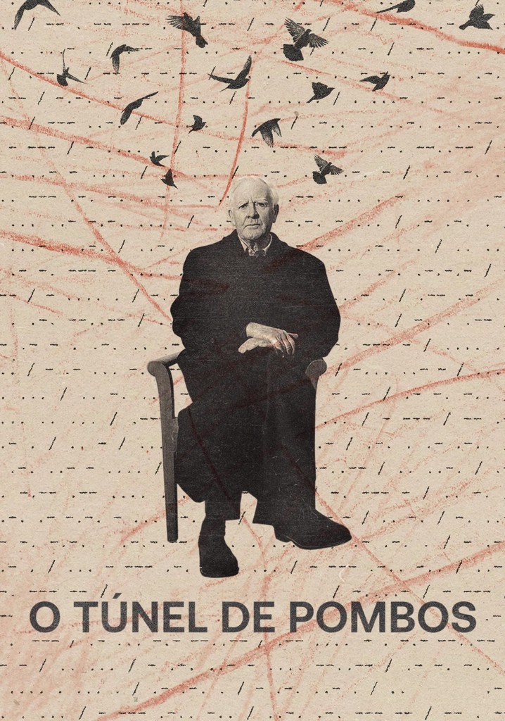 cartaz-do-document&aacute;rio-o-t&uacute;nel-de-pombos-dirigido-por-errol-morris.