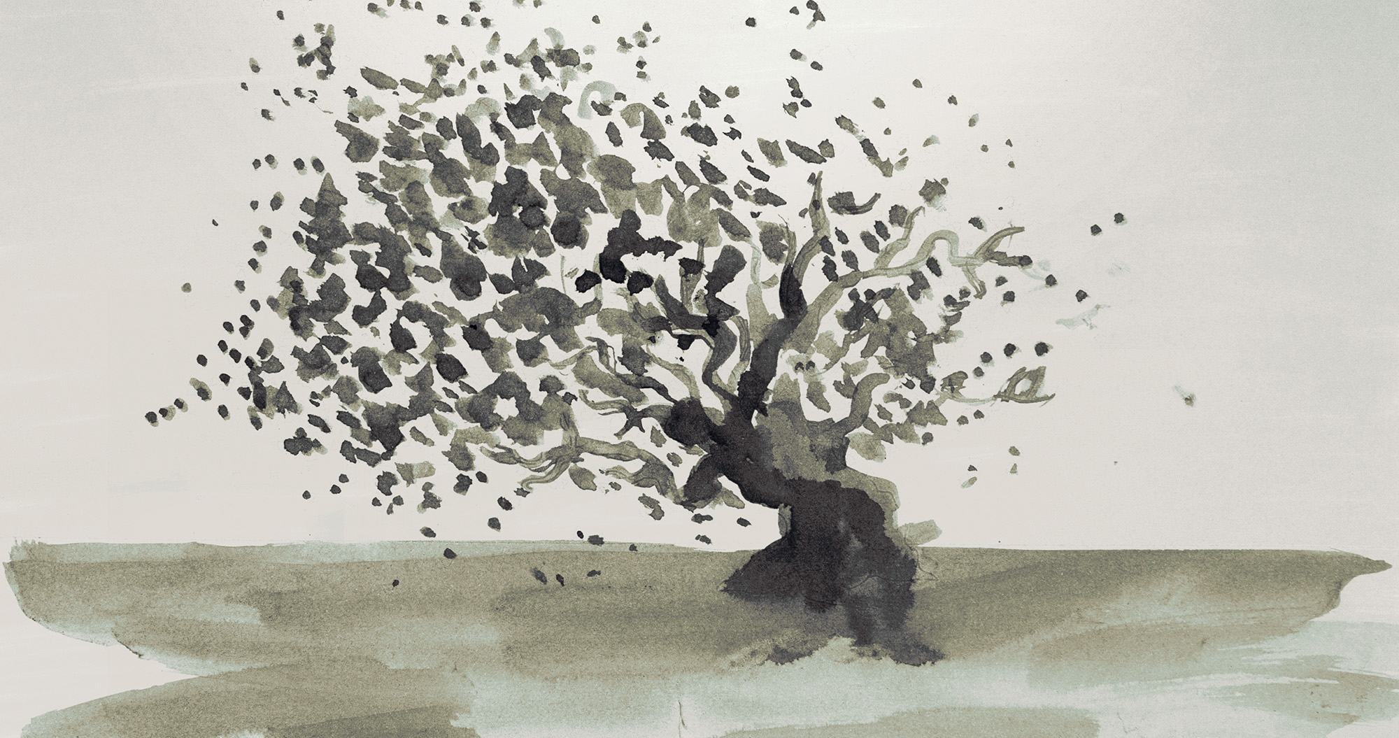 Ninety-five-Senses-animacao-oscar-curta