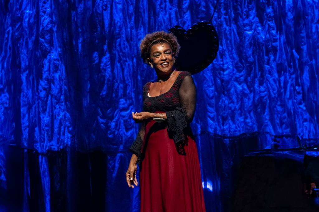 A caneta (e voz) afiada de Elisa Lucinda