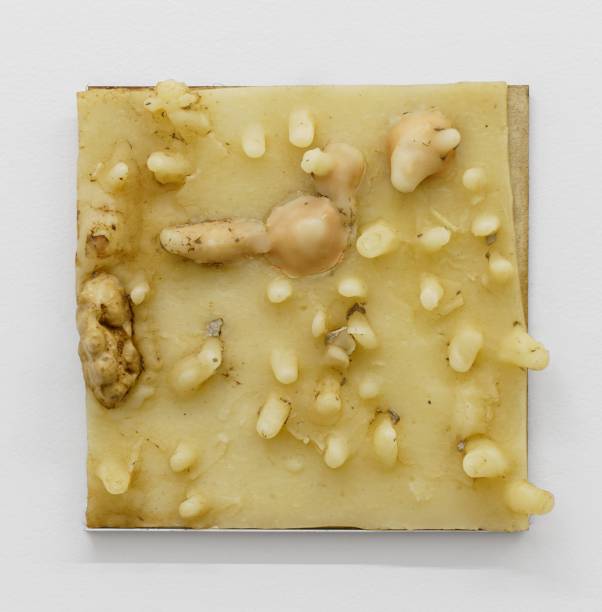 Carlito Carvalhosa, Sem título (P04 92), 1992, Cera, gesso, argila e pigmento sobre tela sobre madeira, 31,5 x 31,5, 5,5 cm_CC_FlavioFreire