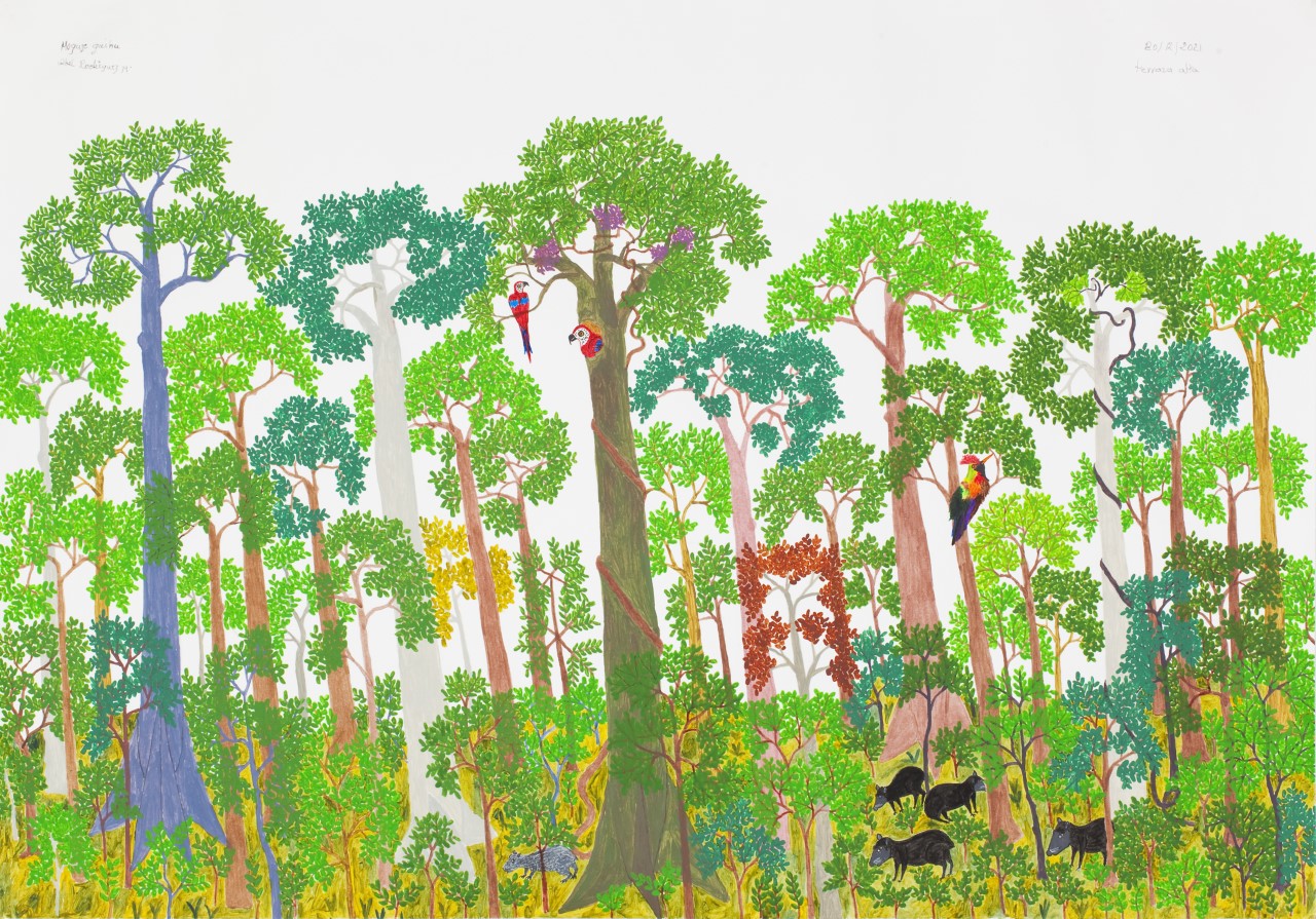 masp-programacao-2025-exposicoes-ecologia-artes-historias