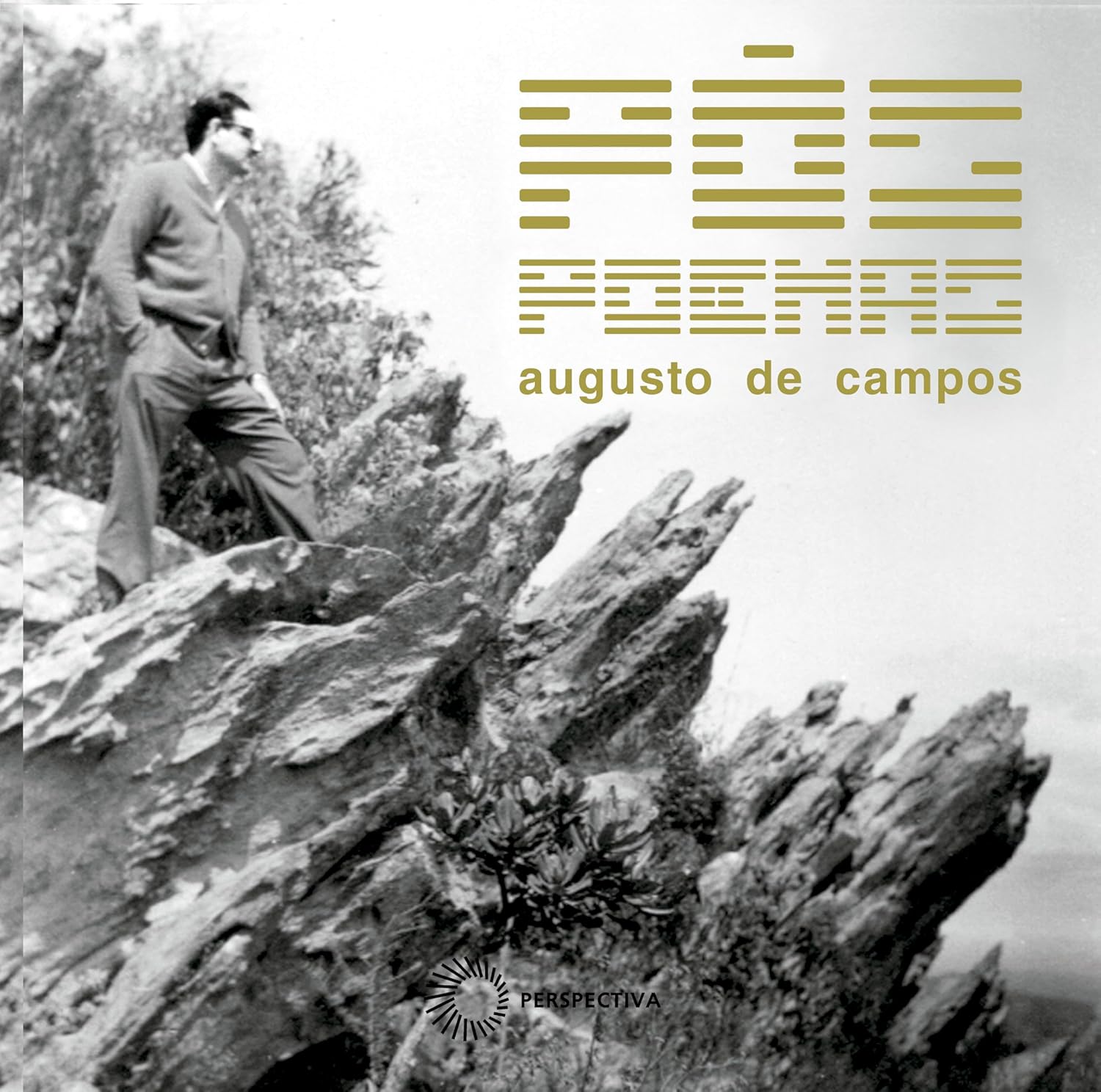 Pos-poemas-Augusto-de-Campos-Perspectiva