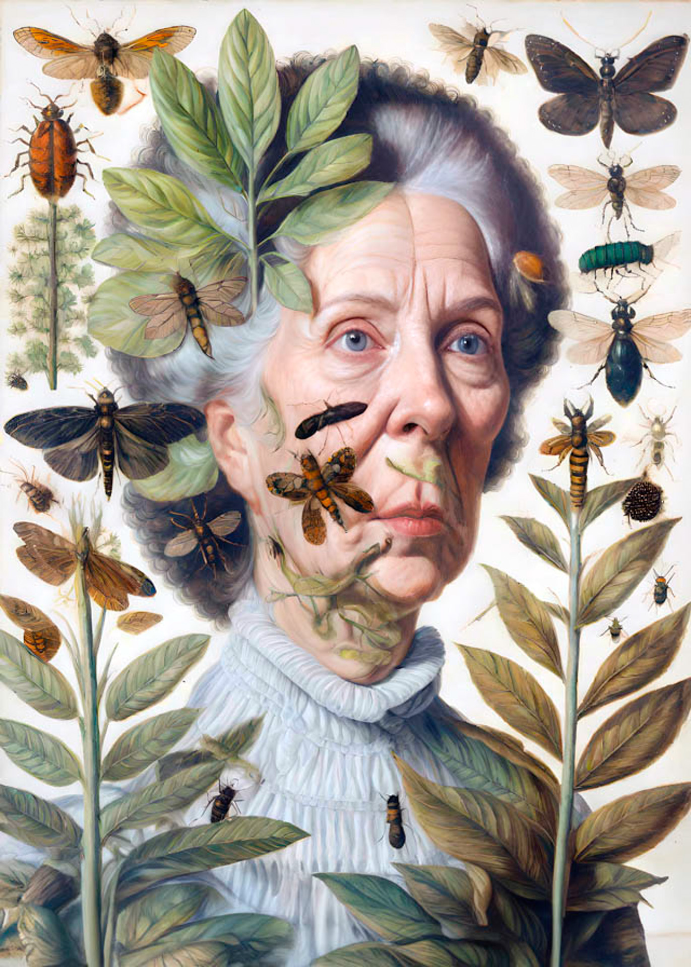 venenosas-nocivas-suspeitas-giselle-beiguelman-botanica-mulheres-historia-inteligencia-artificial-plantas-fiesp-exposicao