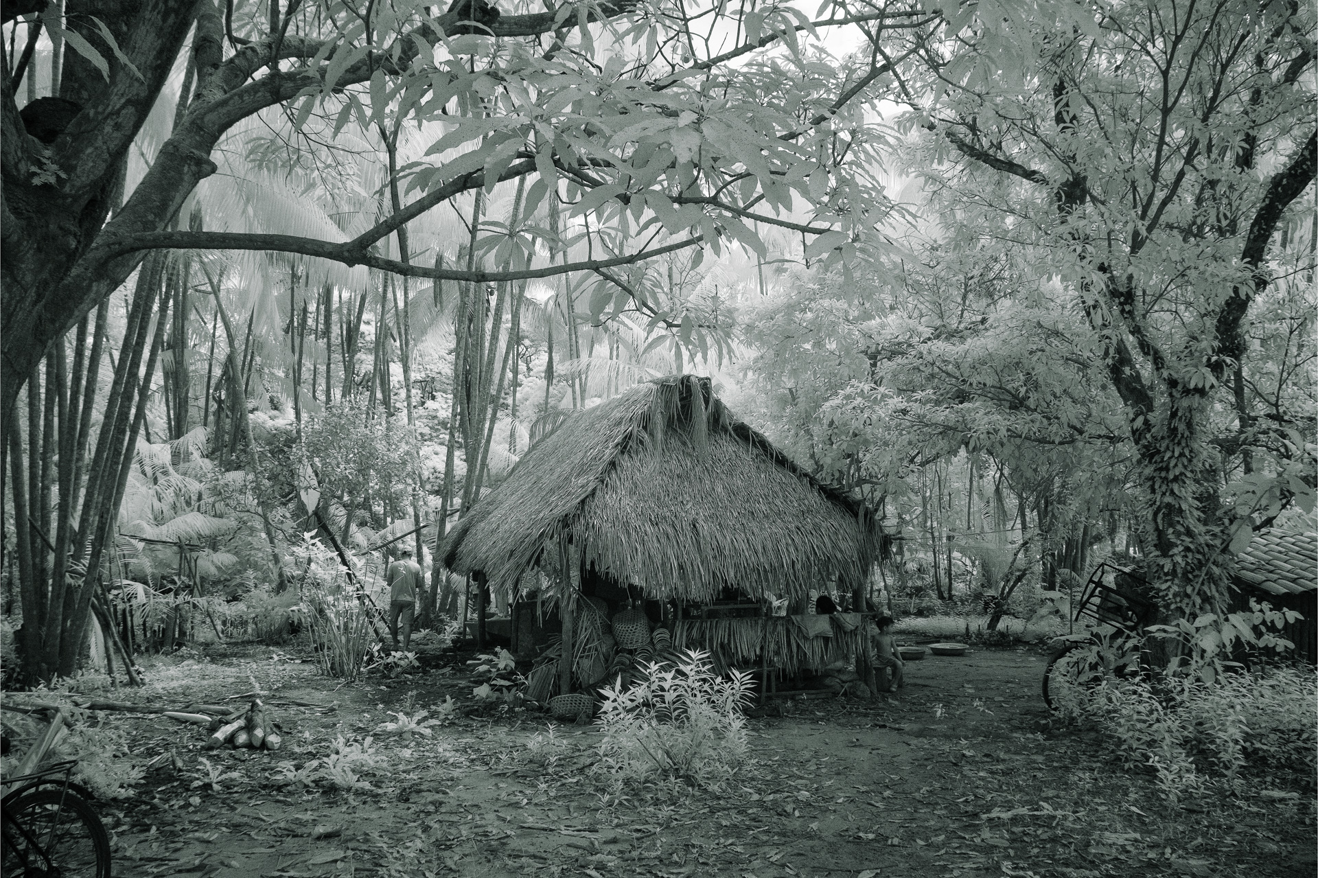 Casa de farinha, 2019