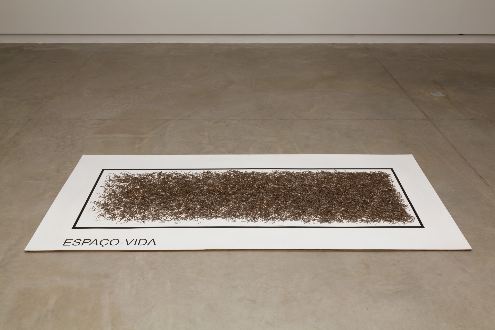Carlos Z&iacute;lio Espa&ccedil;o vida (1974)vinil sobre aglomerado e pregos122 x 275 cm (suporte)