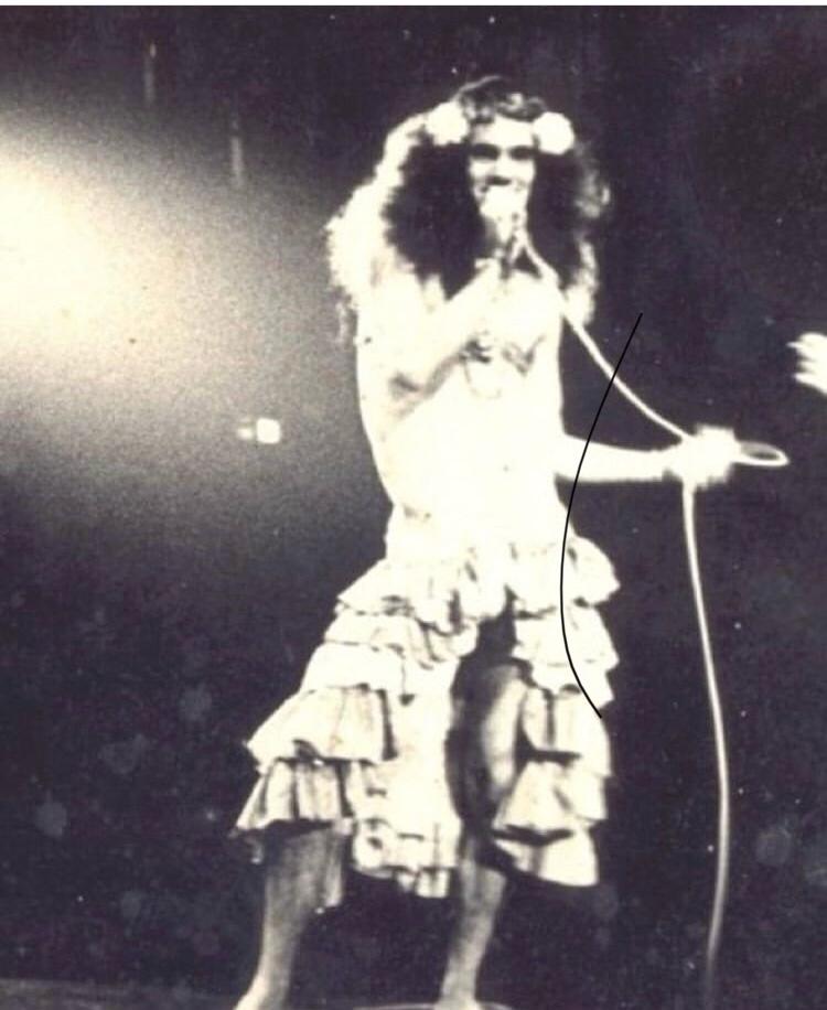 ciro-barcelos-gal-costa-dzi-croquetes-musical-historia