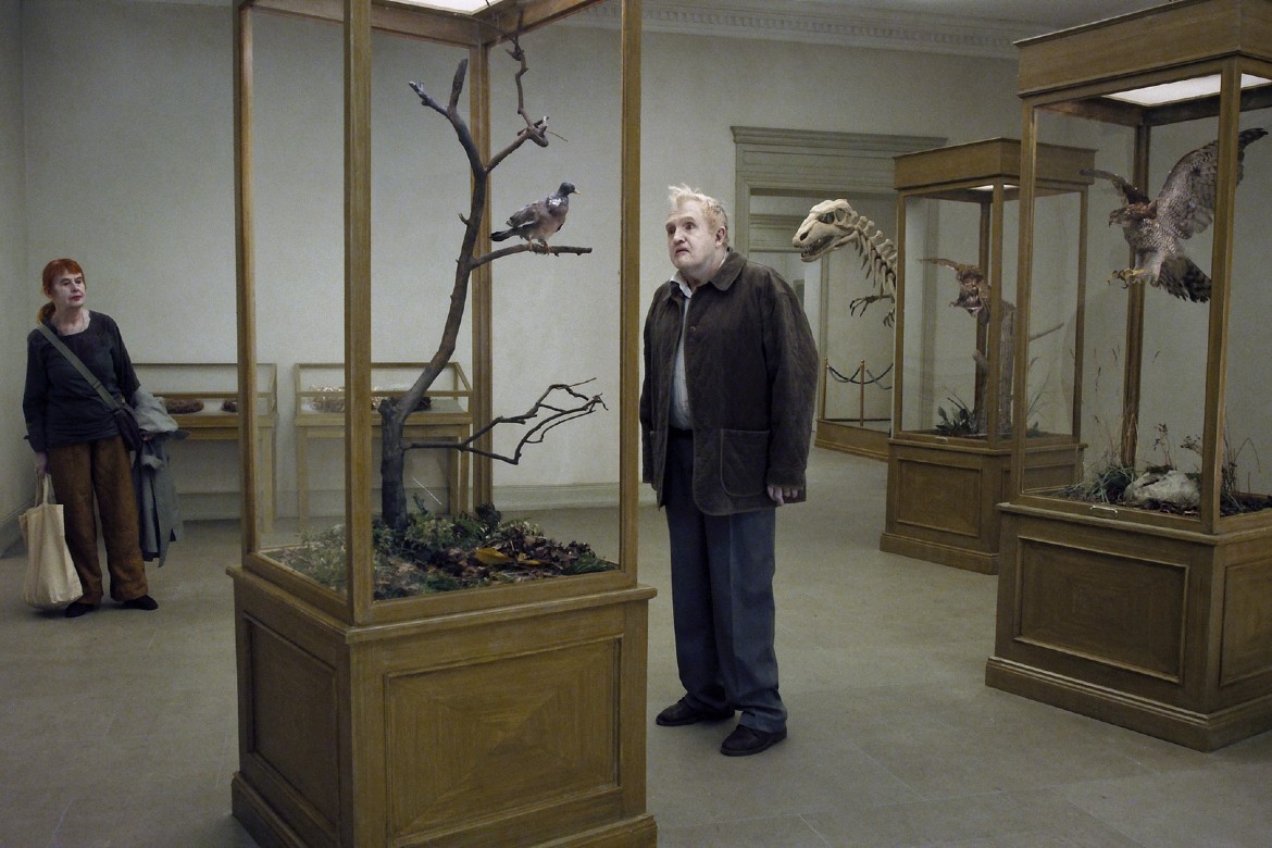 Um-Pombo-Pousou-num-Galho-Refletindo-sobre-a-existencia